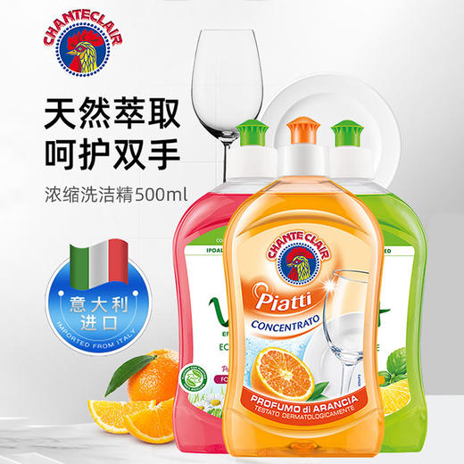 大公鸡管家 浓缩家用去油污洗洁精 500ml/瓶 商品图0