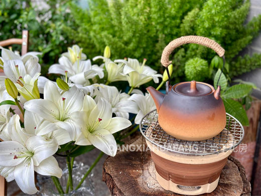 【AB级眼线亚百合】2头5支10朵/份 商品图9