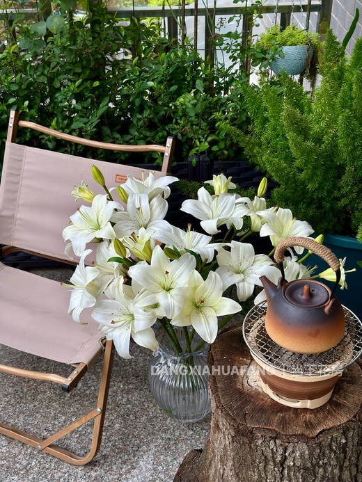 【AB级眼线亚百合】2头5支10朵/份 商品图4