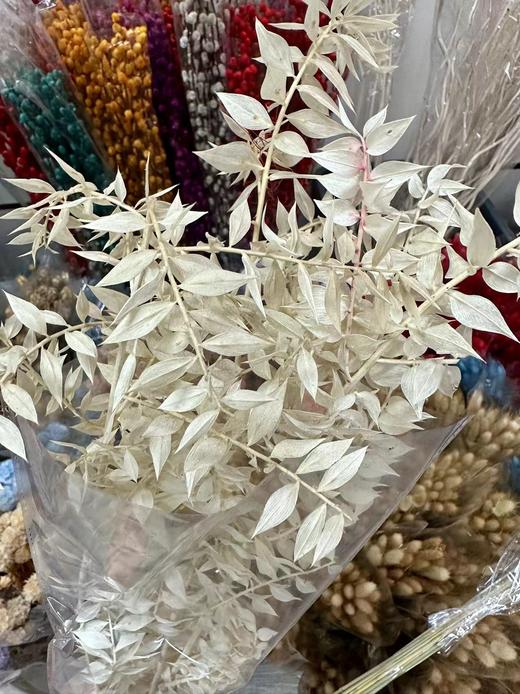 国产花材-永生【富贵叶】 商品图1