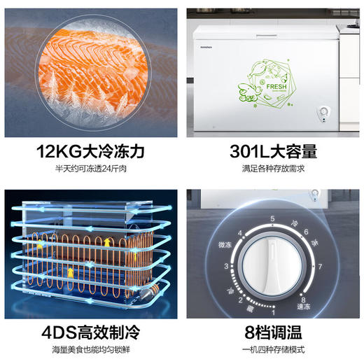 容声（Ronshen） 301升 大容量冰柜 家商两用 冷藏冷冻转换 单温冷柜 厨房雪糕冰箱 大冷冻力BD/BC-301MA 商品图6