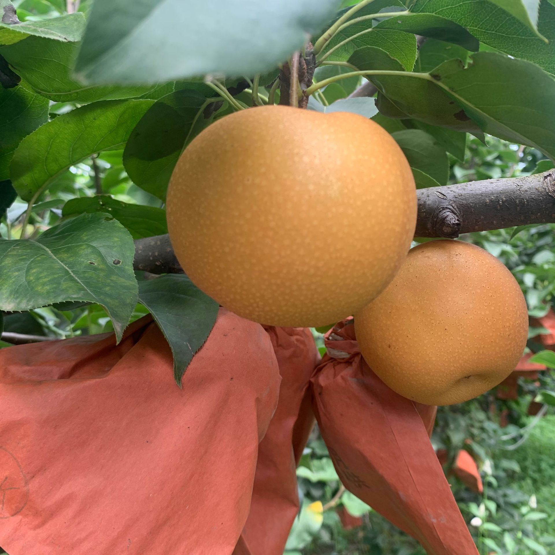 77303970dbcb2fe968fdb27227dac6