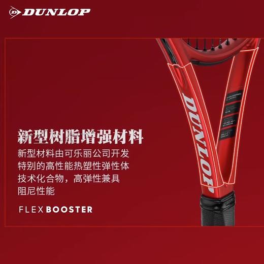 安德森王蔷战拍 邓禄普Dunlop CX 200 TOUR LS 新款专业网球拍 商品图4