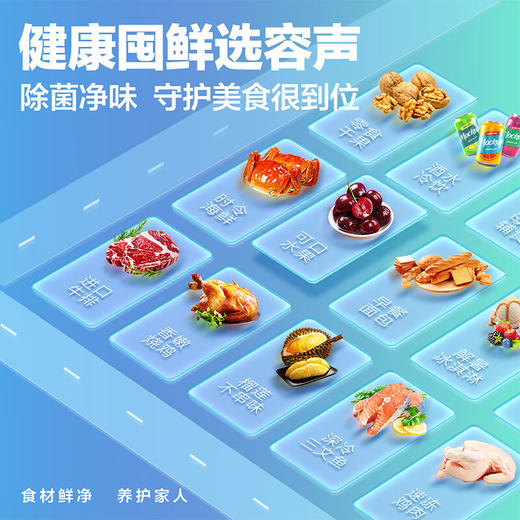 容声（Ronshen） 301升 大容量冰柜 家商两用 冷藏冷冻转换 单温冷柜 厨房雪糕冰箱 大冷冻力BD/BC-301MA 商品图5