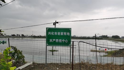 （提货卡）老家有地 兴化红膏蟹 1388型 3.5两母8只 商品图6