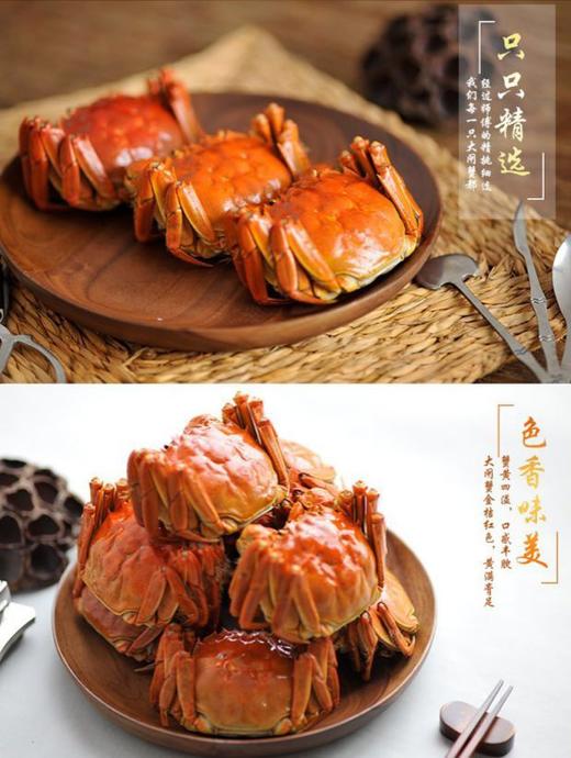 （提货卡）老家有地 兴化红膏蟹 1388型 3.5两母8只 商品图4