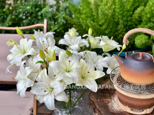 【AB级眼线亚百合】2头5支10朵/份 商品图6