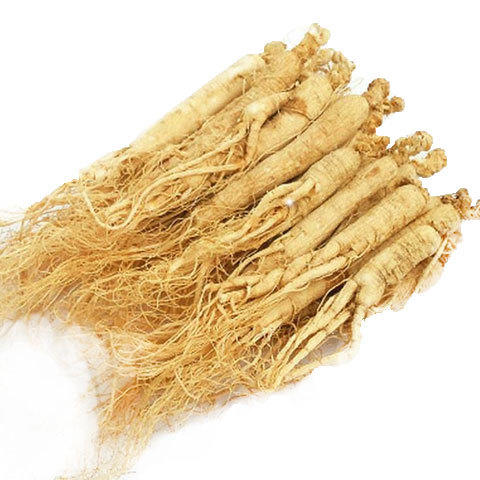 【颗颗精选！每一颗都是精品】十年大参，集长白山干参、生晒参、白参于一身，香气扑鼻，色泽诱人。东北特产 商品图3