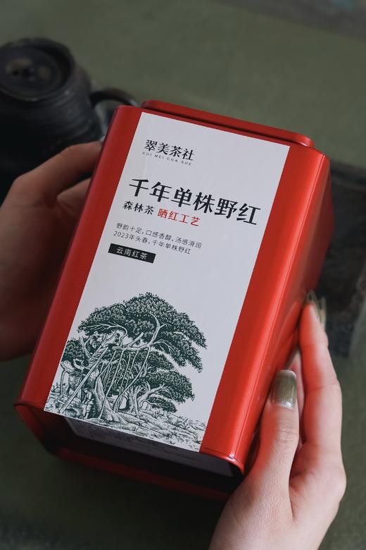 [千年单株野红]，雪山野红！红茶天花板！ 商品图2