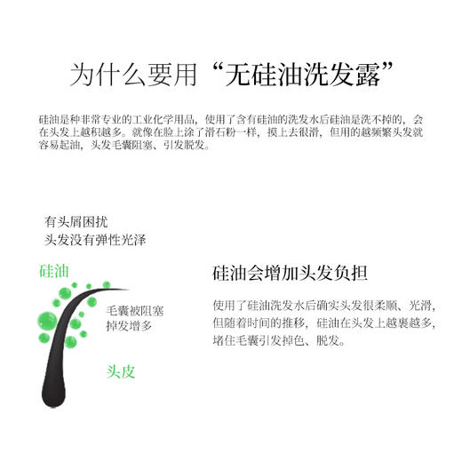 柑气楼 柑橘精油滋养去屑止痒洗发露 500g 商品图3