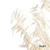 永生花材 | 燕麦白 商品缩略图2
