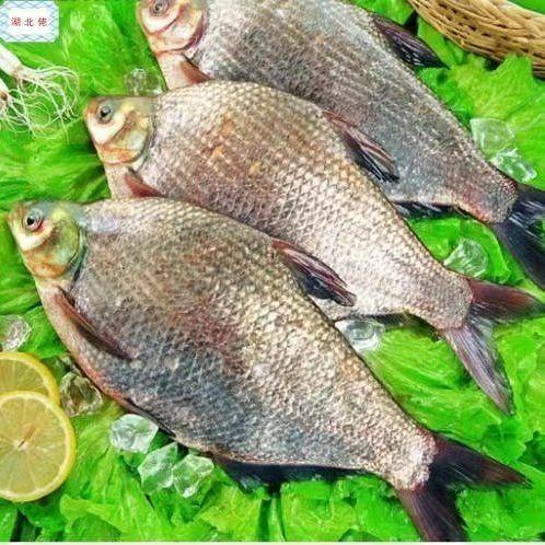 【顺丰包邮到家｜密云水库野生有机鱼，每日新鲜打捞 ，水库鱼全部来自首都水源地，肉质鲜嫩、营养丰富、纯野生无土腥味、无污染而闻名。 商品图5