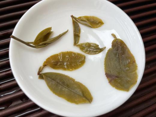 （天花板）困鹿山 皇家贡茶 细叶古树 50克 100克 清雅兰果香 商品图7