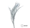 永生花材 | 银华叶蓝色 商品缩略图1