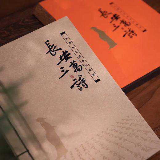 《长安三万里诗词邮票珍藏》48首唐诗集邮册 商品图2