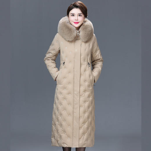 DD-2023新款3D印花蓝绿色羽绒服加长加厚加大码羽绒服修身显瘦时尚潮 商品图1