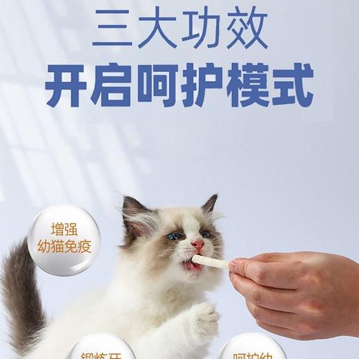 麦富迪猫咪冻干羊奶棒奶酪奶猫磨牙鱼油洁齿饼干零食 商品图3
