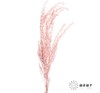 永生花材 | 银华叶粉色 商品缩略图1