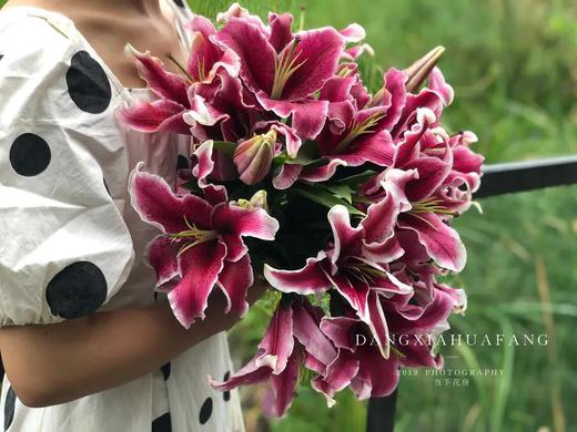 【都是百合】滑雪板重瓣百合4-5朵+黑美人香水百合3-4朵+眼线亚百合4-5朵+西伯利亚白百合4朵/份 商品图4