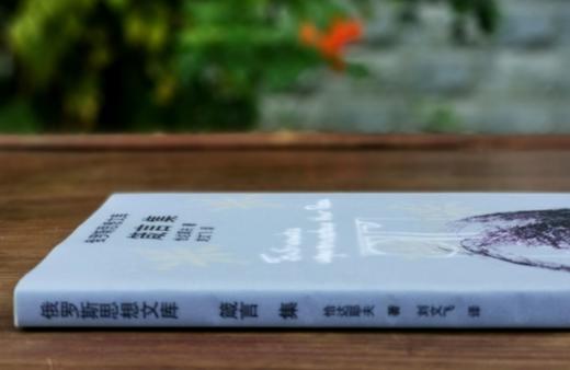 俄罗斯思想文库：《箴言集》，32开，平装，达恰耶夫著，刘文飞译，云南人民出版社1999年版，售价38元。

本书收入了俄罗斯著名思想恰达耶夫的《哲学书简》《疯人的辩护》《箴言集》三种。 商品图1