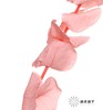 永生花材 | 尤加利粉色 商品缩略图4