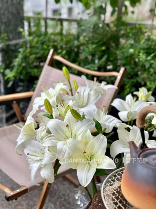 【都是百合】滑雪板重瓣百合4-5朵+黑美人香水百合3-4朵+眼线亚百合4-5朵+西伯利亚白百合4朵/份 商品图3