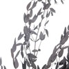 永生花材 | 细叶尤加利黑色 商品缩略图3