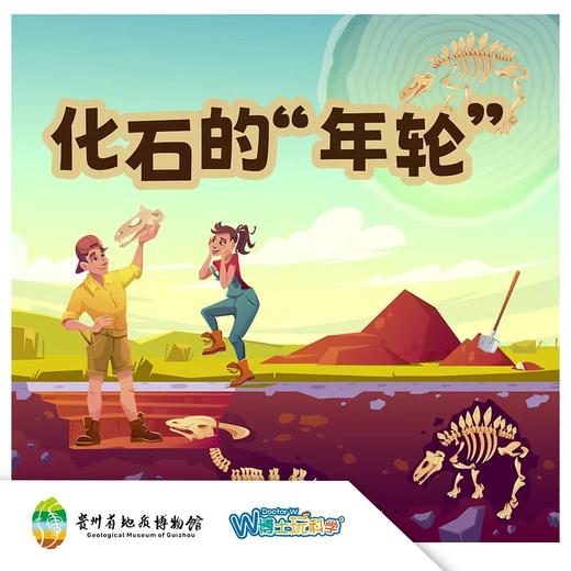 【贵州】化石的年轮 商品图0