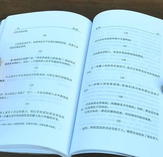 俄罗斯思想文库：《箴言集》，32开，平装，达恰耶夫著，刘文飞译，云南人民出版社1999年版，售价38元。

本书收入了俄罗斯著名思想恰达耶夫的《哲学书简》《疯人的辩护》《箴言集》三种。 商品图12