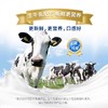 蒙牛慧聪明金装学生多维高钙高锌奶粉400g袋装 商品缩略图2