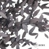永生花材 | 细叶尤加利黑色 商品缩略图0