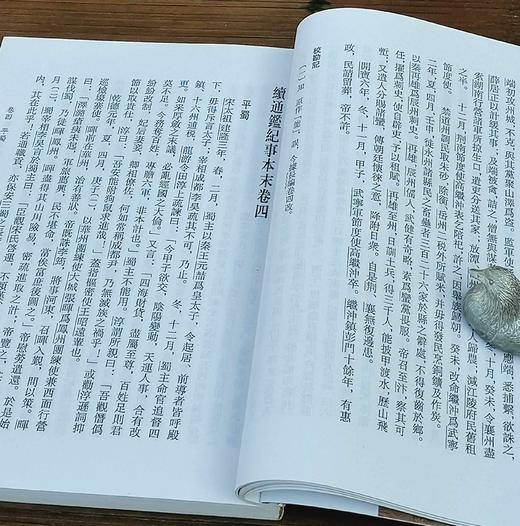 《续通鉴纪事本末》（全10册），【清】李铭汉、李于锴 撰，32开平装，繁体竖排，甘肃人民出版社2005出版，定价360元，售价188元。非偏远地区包邮。 商品图11