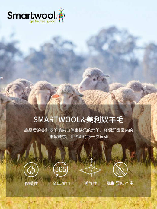 Smartwool女士徒步功能轻量减震星空图案中筒羊毛袜可机洗1584 商品图4