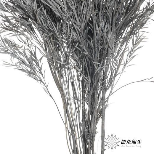 永生花材 | 千层金蓝灰 商品图3