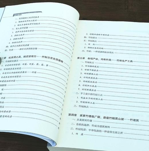 《中国竹文化》，16开，平装，何明等著 ，云南人民出版社2012年版，388页，定价75，售价38元，非偏远地区包邮。

本书由“序言”、“导论”、“上编 竹文化景观”、“下编竹文化符号”“结 商品图4