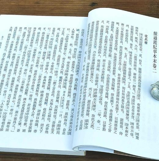 《续通鉴纪事本末》（全10册），【清】李铭汉、李于锴 撰，32开平装，繁体竖排，甘肃人民出版社2005出版，定价360元，售价188元。非偏远地区包邮。 商品图10