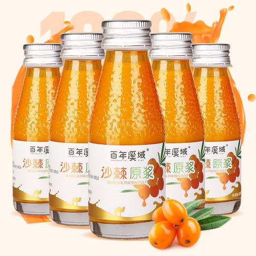 百年溪域沙棘原浆瓶装1680ml/箱 商品图4