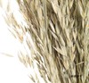 永生花材 | 燕麦原色 商品缩略图0