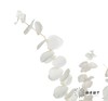 永生花材 | 尤加利白色 商品缩略图1