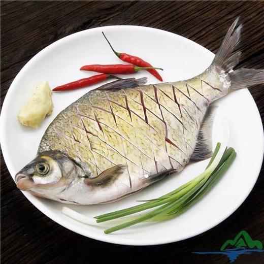 【顺丰包邮到家｜密云水库野生有机鱼，每日新鲜打捞 ，水库鱼全部来自首都水源地，肉质鲜嫩、营养丰富、纯野生无土腥味、无污染而闻名。 商品图7