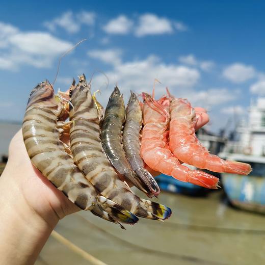 🦐舟山 · 野生 · 深海竹节虾 /滑皮虾/毛竹节红虾  /新鲜捕捞  活虾船冻  🈚️添加更安心 商品图0