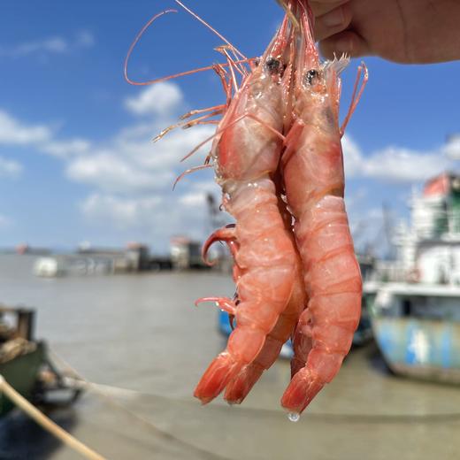 🦐舟山 · 野生 · 深海竹节虾 /滑皮虾/毛竹节红虾  /新鲜捕捞  活虾船冻  🈚️添加更安心 商品图5