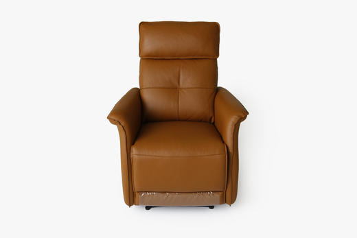 大信沙发 DX-SF2340休闲椅 商品图0