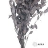 永生花材 | 细叶尤加利黑色 商品缩略图2