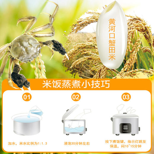 景明 黄河蟹田米 商品图4