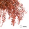 永生花材 | 千层金橙红 商品缩略图0