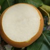 【福利款】山东沂蒙山秋月梨 4.5斤装 商品缩略图4