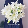 【都是百合】滑雪板重瓣百合4-5朵+黑美人香水百合3-4朵+眼线亚百合4-5朵+西伯利亚白百合4朵/份 商品缩略图2