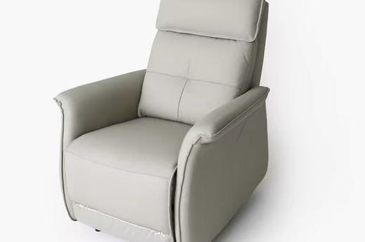 大信沙发 DX-SF2341休闲椅 商品图2