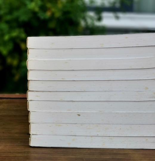 《续通鉴纪事本末》（全10册），【清】李铭汉、李于锴 撰，32开平装，繁体竖排，甘肃人民出版社2005出版，定价360元，售价188元。非偏远地区包邮。 商品图3